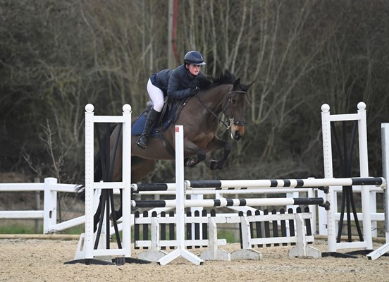 Bonnie 15’1hh mare