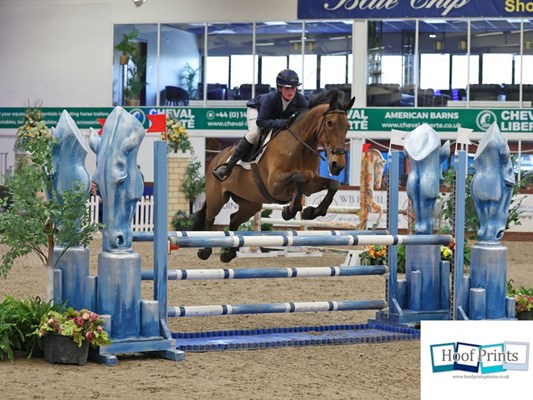 Bonnie 15’1hh mare