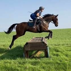 Quality Top Class Eventing Prospect... Horses for Sale