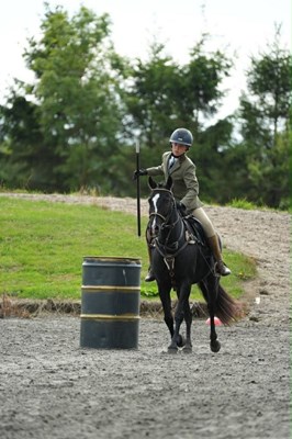 Genuine Step Up Black Gelding Pony Club Pony