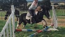 13.1hh 6 year old coloured mare 