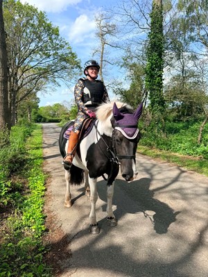 14hh 8 year old mare inc Tack- Fantastic Hack with Potential