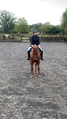 Stunning 15.3hh chestnut mare -talented and kind event prospect