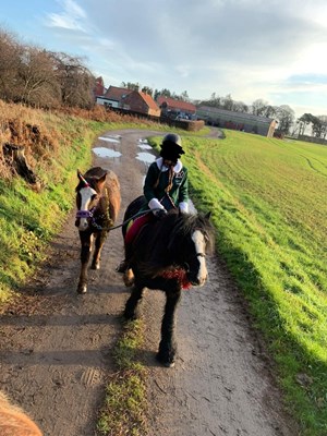 Minnie - 13.1/13.2hh 11yr old Black Cob Mare