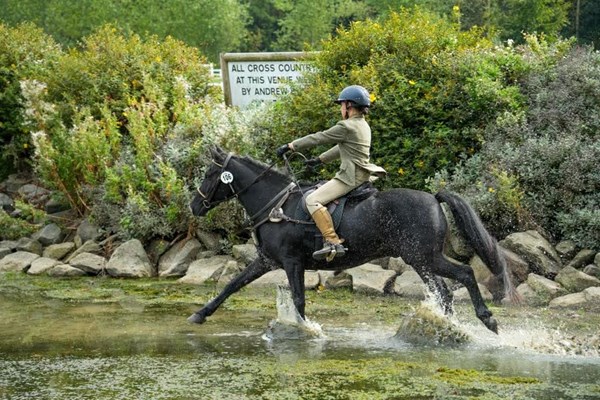 Genuine Step Up Black Gelding Pony Club Pony