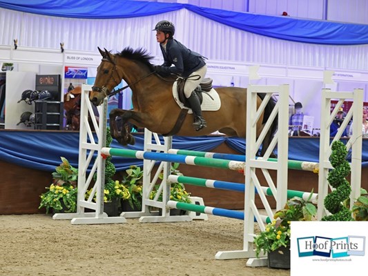 Bonnie 15’1hh mare