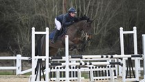 Bonnie 15’1hh mare 