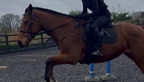 Ex-Racer Project 