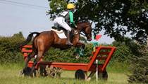 Quality Top Class Eventing Prospect 