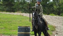Genuine Step Up Black Gelding Pony Club Pony