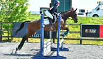 Quality Top Class Eventing Prospect 