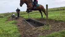 Stunning 15.3hh chestnut mare -talented and kind event prospect 