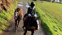 Minnie - 13.1/13.2hh 11yr old Black Cob Mare