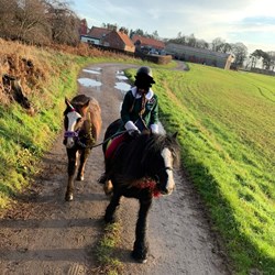 Minnie - 13.1/13.2Hh 11Yr Old Black... Ponies for Sale