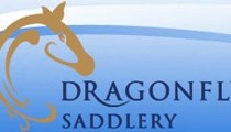 Horse Bit and Anatomical Bridle Fitting at Dragonfly Saddlery